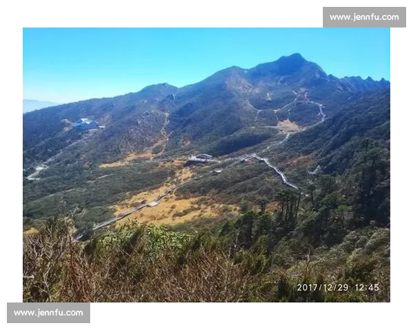 以小组出线为目标的赛制博弈与球队战略全景解析路径选择与关键因素研究